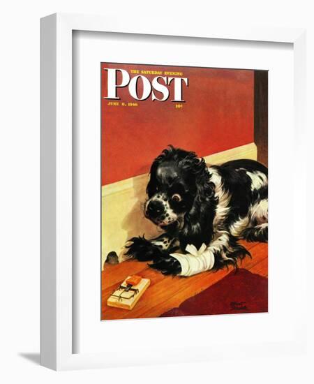 "Butch and Mousetrap," Saturday Evening Post Cover, June 8, 1946-Albert Staehle-Framed Giclee Print