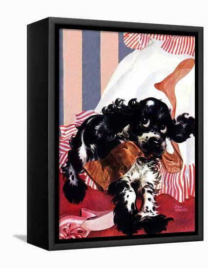 "Butch and the Nylons," February 15, 1947-Albert Staehle-Framed Stretched Canvas