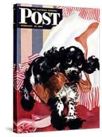 "Butch and the Nylons," Saturday Evening Post Cover, February 15, 1947-Albert Staehle-Stretched Canvas