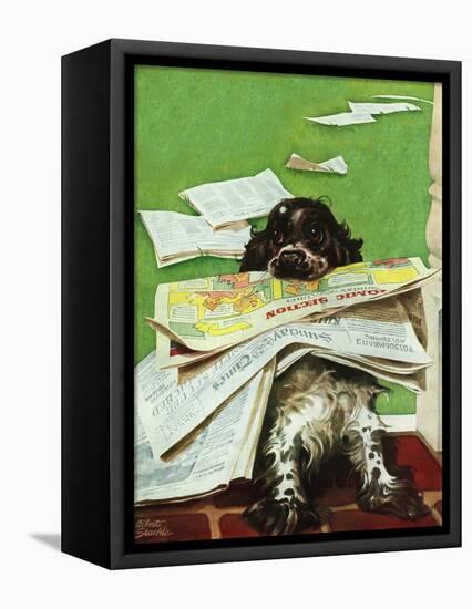 "Butch and the Sunday Paper," May 31, 1947-Albert Staehle-Framed Stretched Canvas