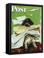 "Butch and the Sunday Paper," Saturday Evening Post Cover, May 31, 1947-Albert Staehle-Framed Stretched Canvas