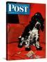 "Butch Ate the Coupons," Saturday Evening Post Cover, February 19, 1944-Albert Staehle-Stretched Canvas