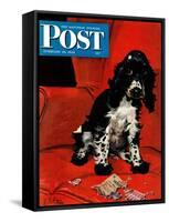 "Butch Ate the Coupons," Saturday Evening Post Cover, February 19, 1944-Albert Staehle-Framed Stretched Canvas