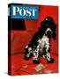 "Butch Ate the Coupons," Saturday Evening Post Cover, February 19, 1944-Albert Staehle-Stretched Canvas