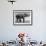 Butch, Baby Female Indian Elephant in the Dailey Circus, Standing Beneath Full Size Elephant-Cornell Capa-Framed Photographic Print displayed on a wall