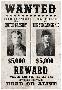 Butch Cassidy and The Sundance Kid Wanted Advertisement Print Poster-null-Lamina Framed Poster