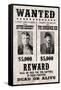 Butch Cassidy and The Sundance Kid Wanted Advertisement Print Poster-null-Framed Stretched Canvas