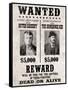 Butch Cassidy and The Sundance Kid Wanted Poster-null-Framed Stretched Canvas