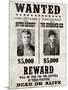 Butch Cassidy and The Sundance Kid Wanted Poster-null-Mounted Poster