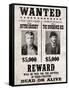 Butch Cassidy and The Sundance Kid Wanted Poster-null-Framed Stretched Canvas