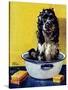 "Butch Gets a Bath," May 11, 1946-Albert Staehle-Stretched Canvas