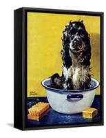 "Butch Gets a Bath," May 11, 1946-Albert Staehle-Framed Stretched Canvas