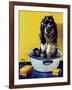 "Butch Gets a Bath," May 11, 1946-Albert Staehle-Framed Giclee Print