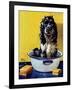 "Butch Gets a Bath," May 11, 1946-Albert Staehle-Framed Giclee Print