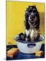 "Butch Gets a Bath," May 11, 1946-Albert Staehle-Mounted Giclee Print