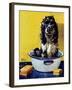 "Butch Gets a Bath," May 11, 1946-Albert Staehle-Framed Giclee Print