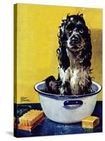 "Butch Gets a Bath," May 11, 1946-Albert Staehle-Stretched Canvas
