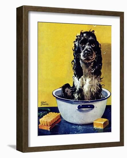 "Butch Gets a Bath," May 11, 1946-Albert Staehle-Framed Premium Giclee Print