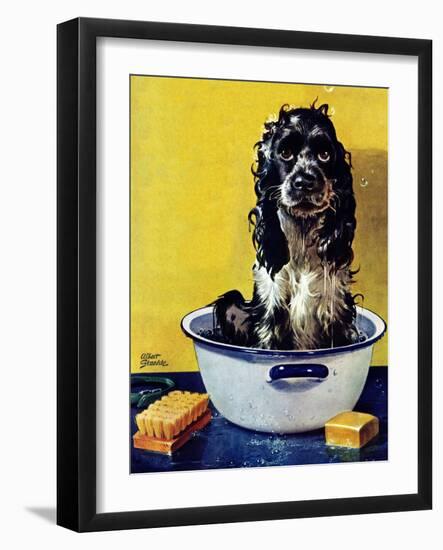 "Butch Gets a Bath," May 11, 1946-Albert Staehle-Framed Premium Giclee Print