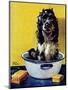 "Butch Gets a Bath," May 11, 1946-Albert Staehle-Mounted Premium Giclee Print