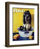 "Butch Gets a Bath," Saturday Evening Post Cover, May 11, 1946-Albert Staehle-Framed Premium Giclee Print