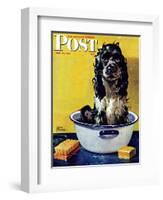 "Butch Gets a Bath," Saturday Evening Post Cover, May 11, 1946-Albert Staehle-Framed Premium Giclee Print