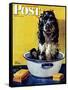 "Butch Gets a Bath," Saturday Evening Post Cover, May 11, 1946-Albert Staehle-Framed Stretched Canvas