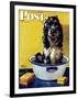 "Butch Gets a Bath," Saturday Evening Post Cover, May 11, 1946-Albert Staehle-Framed Giclee Print