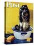 "Butch Gets a Bath," Saturday Evening Post Cover, May 11, 1946-Albert Staehle-Stretched Canvas