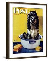 "Butch Gets a Bath," Saturday Evening Post Cover, May 11, 1946-Albert Staehle-Framed Giclee Print