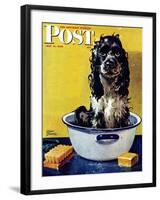 "Butch Gets a Bath," Saturday Evening Post Cover, May 11, 1946-Albert Staehle-Framed Giclee Print