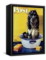 "Butch Gets a Bath," Saturday Evening Post Cover, May 11, 1946-Albert Staehle-Framed Stretched Canvas