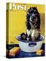 "Butch Gets a Bath," Saturday Evening Post Cover, May 11, 1946-Albert Staehle-Stretched Canvas