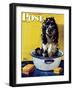 "Butch Gets a Bath," Saturday Evening Post Cover, May 11, 1946-Albert Staehle-Framed Premium Giclee Print