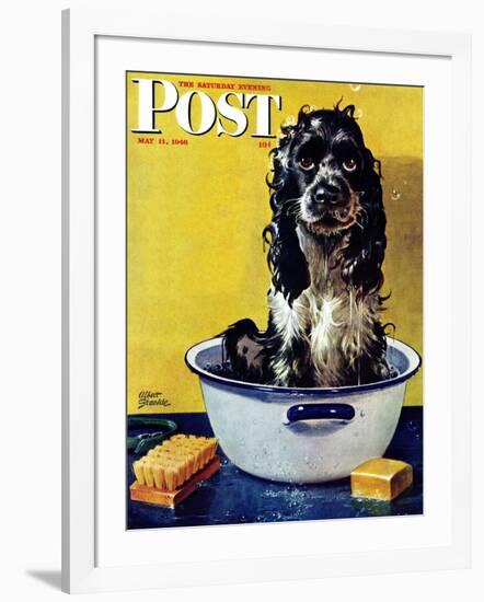 "Butch Gets a Bath," Saturday Evening Post Cover, May 11, 1946-Albert Staehle-Framed Giclee Print