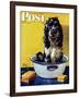 "Butch Gets a Bath," Saturday Evening Post Cover, May 11, 1946-Albert Staehle-Framed Giclee Print