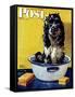 "Butch Gets a Bath," Saturday Evening Post Cover, May 11, 1946-Albert Staehle-Framed Stretched Canvas