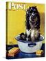 "Butch Gets a Bath," Saturday Evening Post Cover, May 11, 1946-Albert Staehle-Stretched Canvas