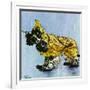 "Butch in Raingear," April 2, 1949-Albert Staehle-Framed Giclee Print