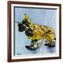 "Butch in Raingear," April 2, 1949-Albert Staehle-Framed Giclee Print