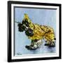 "Butch in Raingear," April 2, 1949-Albert Staehle-Framed Giclee Print