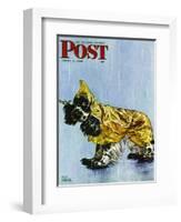 "Butch in Raingear," Saturday Evening Post Cover, April 2, 1949-Albert Staehle-Framed Giclee Print