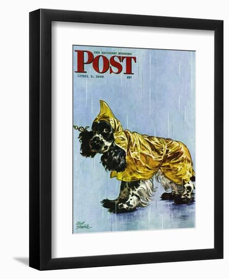 "Butch in Raingear," Saturday Evening Post Cover, April 2, 1949-Albert Staehle-Framed Premium Giclee Print