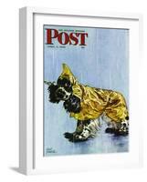 "Butch in Raingear," Saturday Evening Post Cover, April 2, 1949-Albert Staehle-Framed Giclee Print