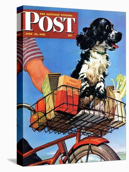 "Butch's Bike Ride," Saturday Evening Post Cover, June 23, 1945-Albert Staehle-Stretched Canvas