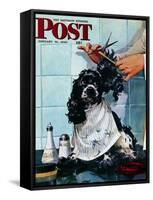 "Butch's Haircut," Saturday Evening Post Cover, January 31, 1948-Albert Staehle-Framed Stretched Canvas