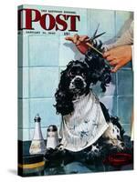 "Butch's Haircut," Saturday Evening Post Cover, January 31, 1948-Albert Staehle-Stretched Canvas