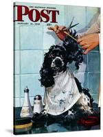 "Butch's Haircut," Saturday Evening Post Cover, January 31, 1948-Albert Staehle-Stretched Canvas