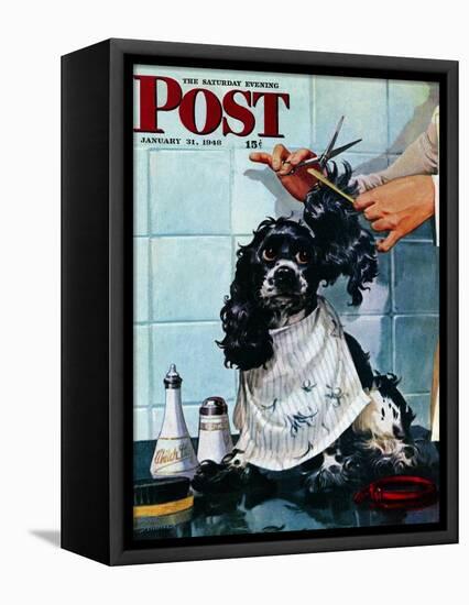"Butch's Haircut," Saturday Evening Post Cover, January 31, 1948-Albert Staehle-Framed Stretched Canvas