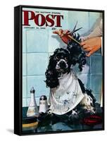 "Butch's Haircut," Saturday Evening Post Cover, January 31, 1948-Albert Staehle-Framed Stretched Canvas